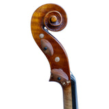 Mauro Macchi 2023 Violin - Cremona