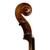 Tartini Classroom Violin - 3/4 violin outfit