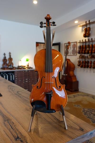 Stefano Trabucchi Stradivari Violin - 2026 Cremona – Bows For Strings