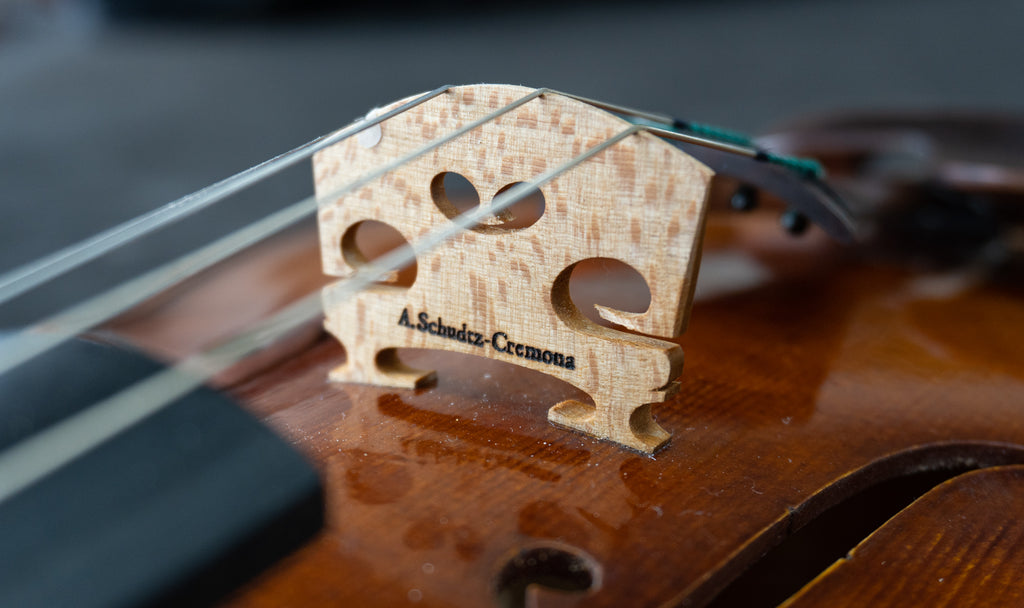 Andrea Schudtz Violin - Cremona 2022
