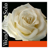 Pirastro Wondertone Solo Violin E String 4/4 (E-Ball Advanced Steel 26)