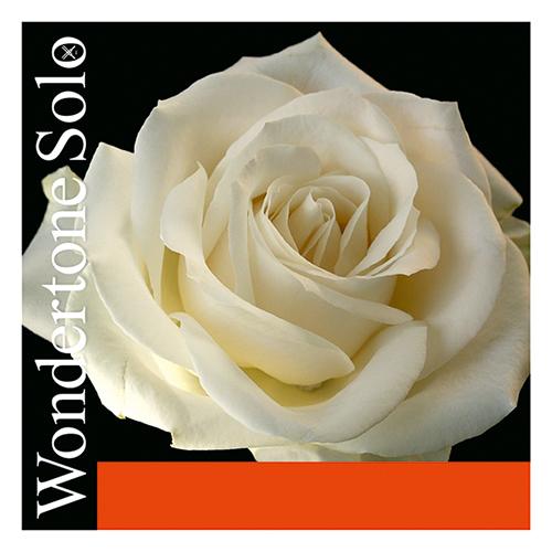Pirastro Wondertone Solo Violin E String 4/4 Silver E-Ball