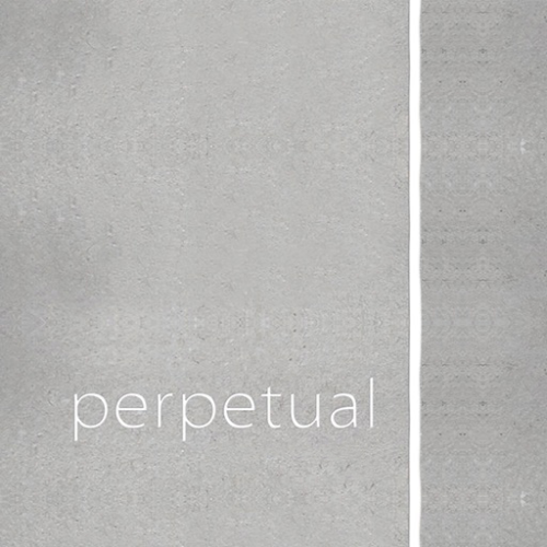 Pirastro Perpetual Violin E String 4/4 E-Ball Platinum (26.7 Mittel)