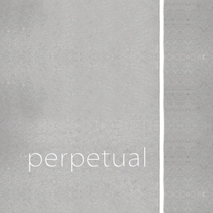 Pirastro Perpetual Violin E String 4/4 E-Ball Platinum (26.7 Mittel)