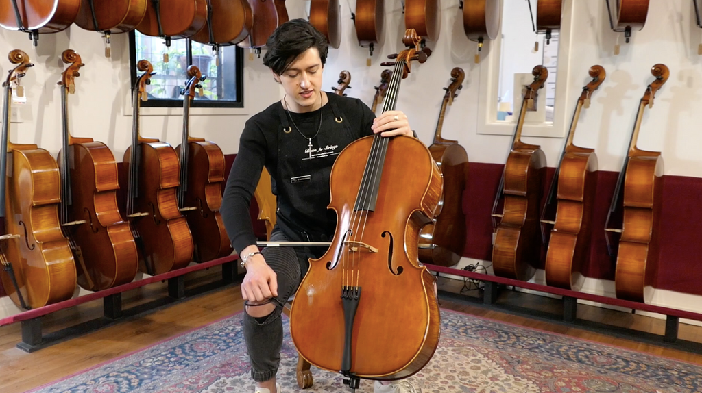 Introducing the new Euro by Chamber Cello