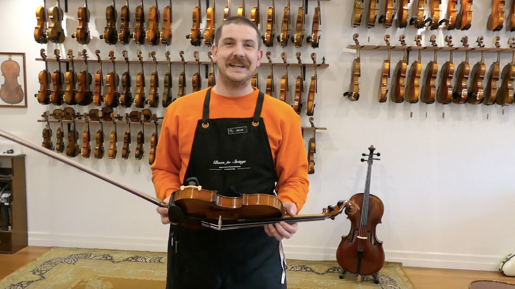 Brand Spotlight: Pirastro violin strings