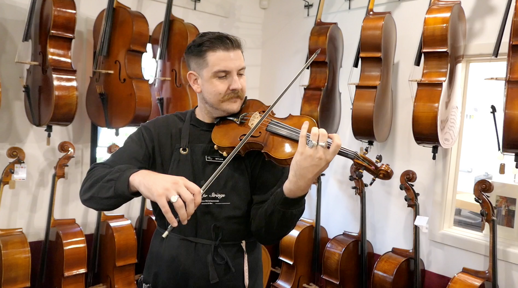 Introducing the Amati Euro by Chamber violin