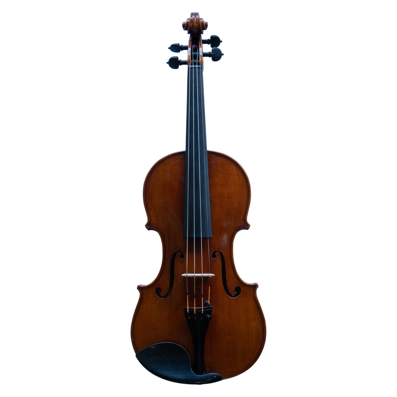 Wolfgang Schnabl Violin - 2011