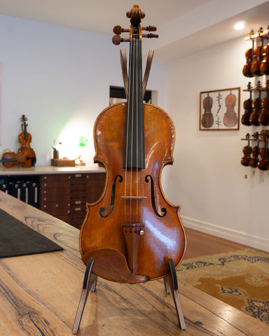 Violins