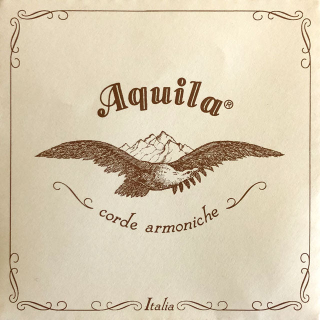Aquila Corde Armoniche Baroque Violin A String