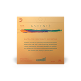 D'Addario Ascenté Viola String Set 16–17" (Long)