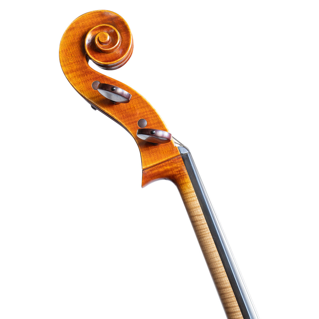 Stradivari Euro by Chamber - Cello 7/8