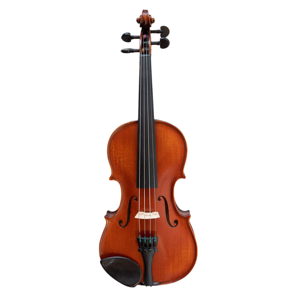 Gliga Vasile Professional Violin 4/4